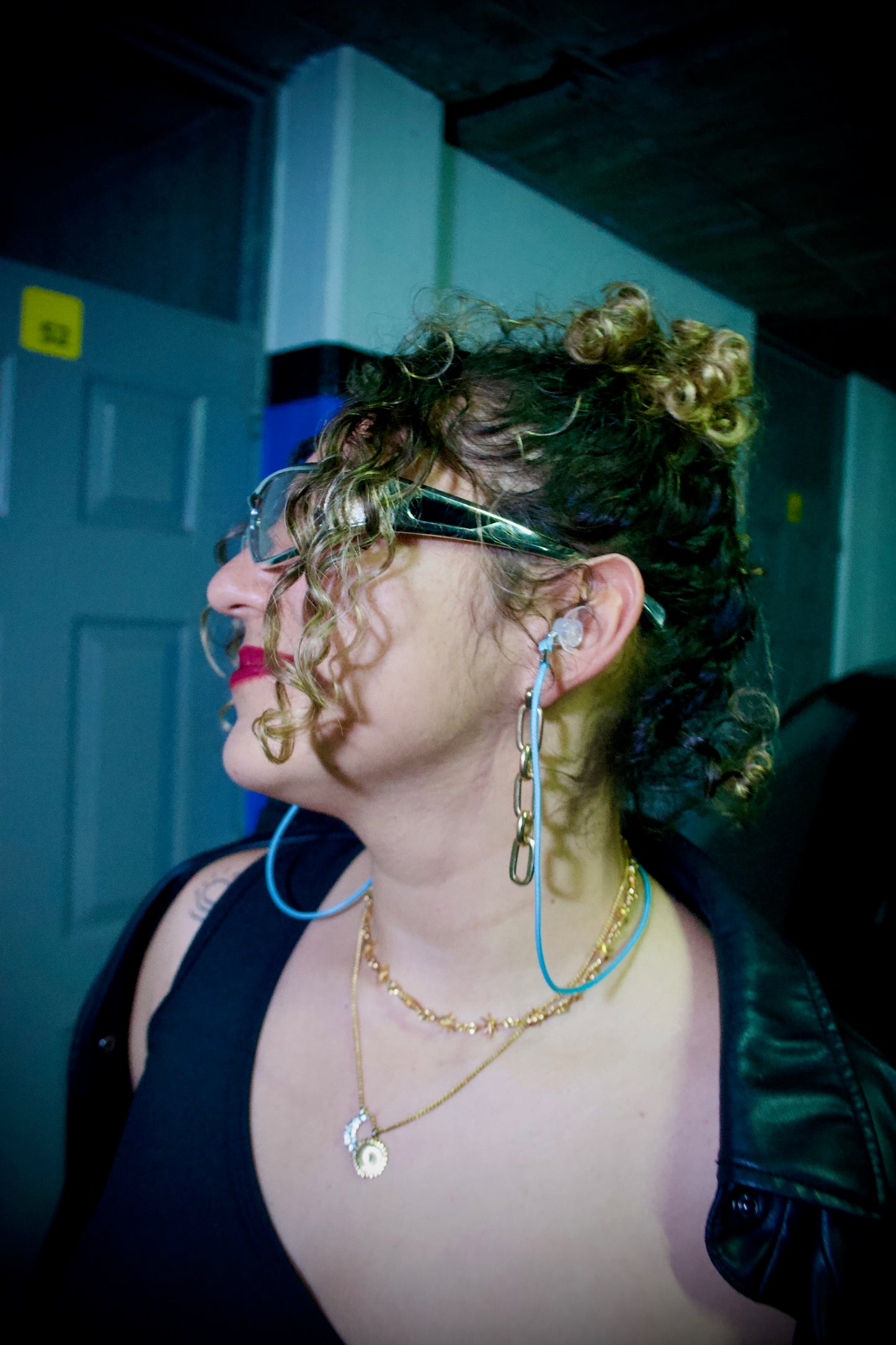 Earplugs Vault Essential